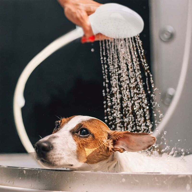 Single Shower Head For Bath Sink Or Toilet Sink, Shower Hose, Quick Connect Single Shower Faucet, Kids Pet Shampoo