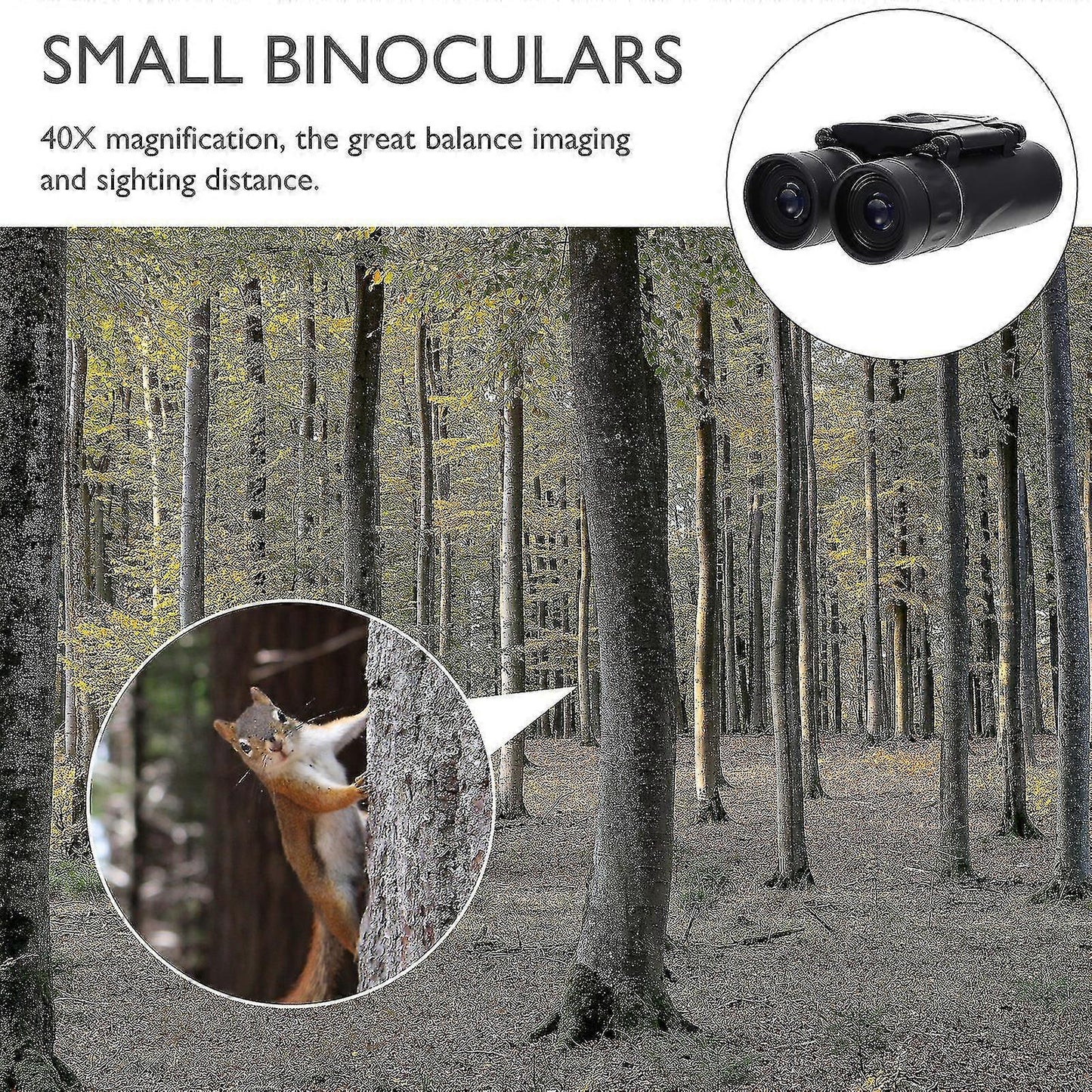 Concert Binoculars Compact Travel Observation Binoculars Lightweight Small