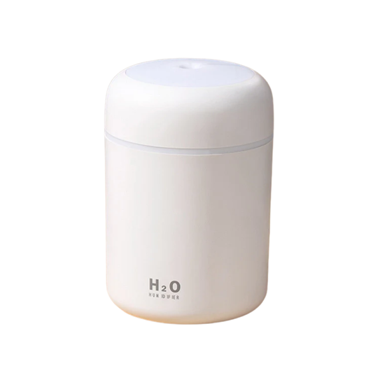 Living Today Mini LED Ultrasonic Humidifier 300ml