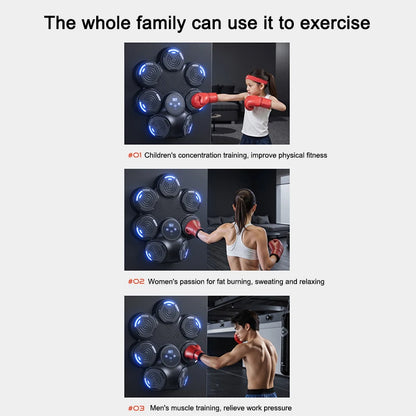 Boxing Machine Wall Mounted Home Gym