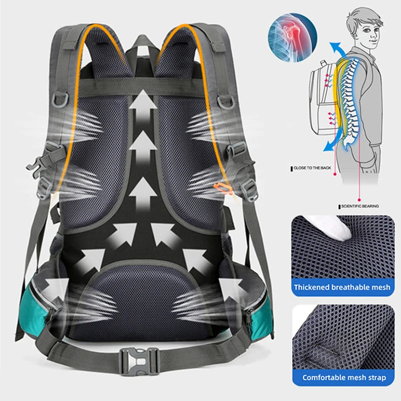 Hiking Backpack 50L