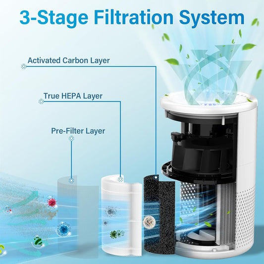 B-D02L M05 Replacement Filter (2 Pack)