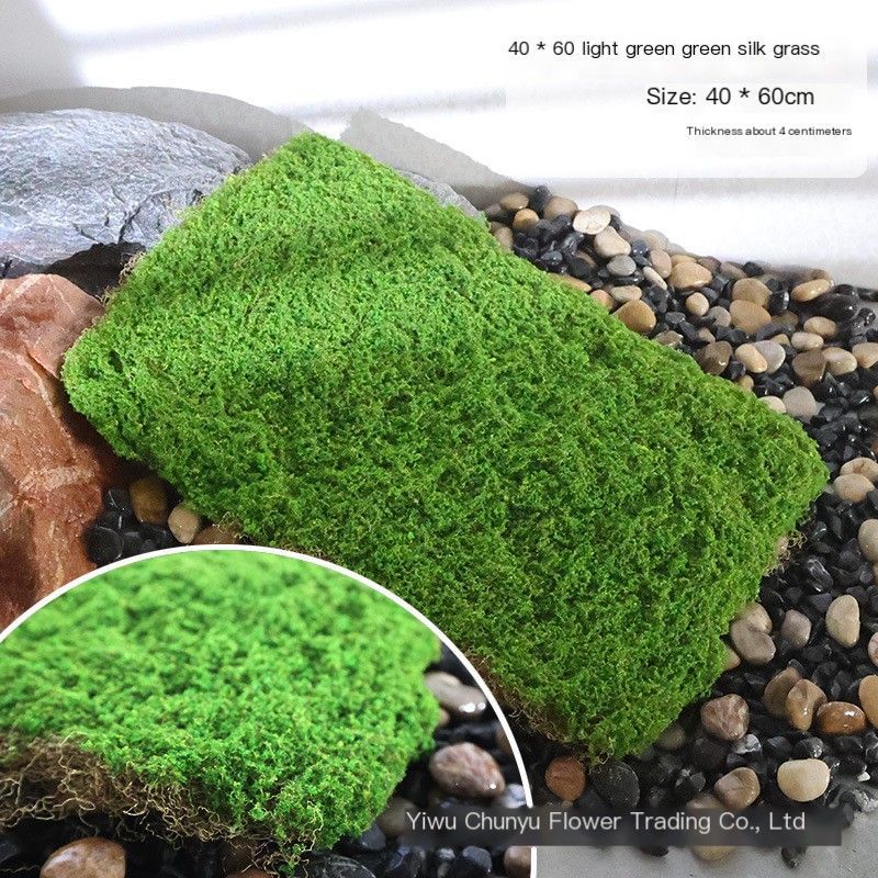 SimulatedSetofSixMossBlocks