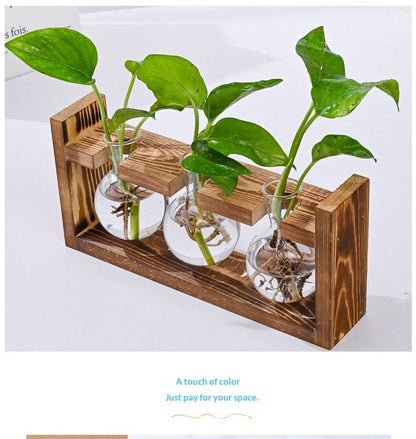 HydroponicWoodenFramewithSnap-On-DiamondSingleBottle