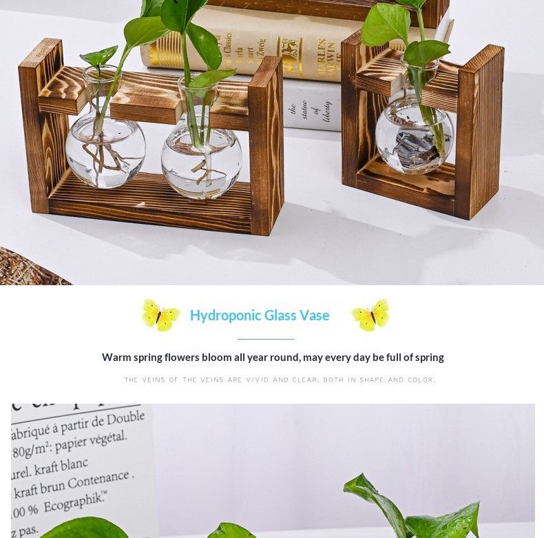 HydroponicWoodenFramewithSnap-On-SphericalDoubleBottle