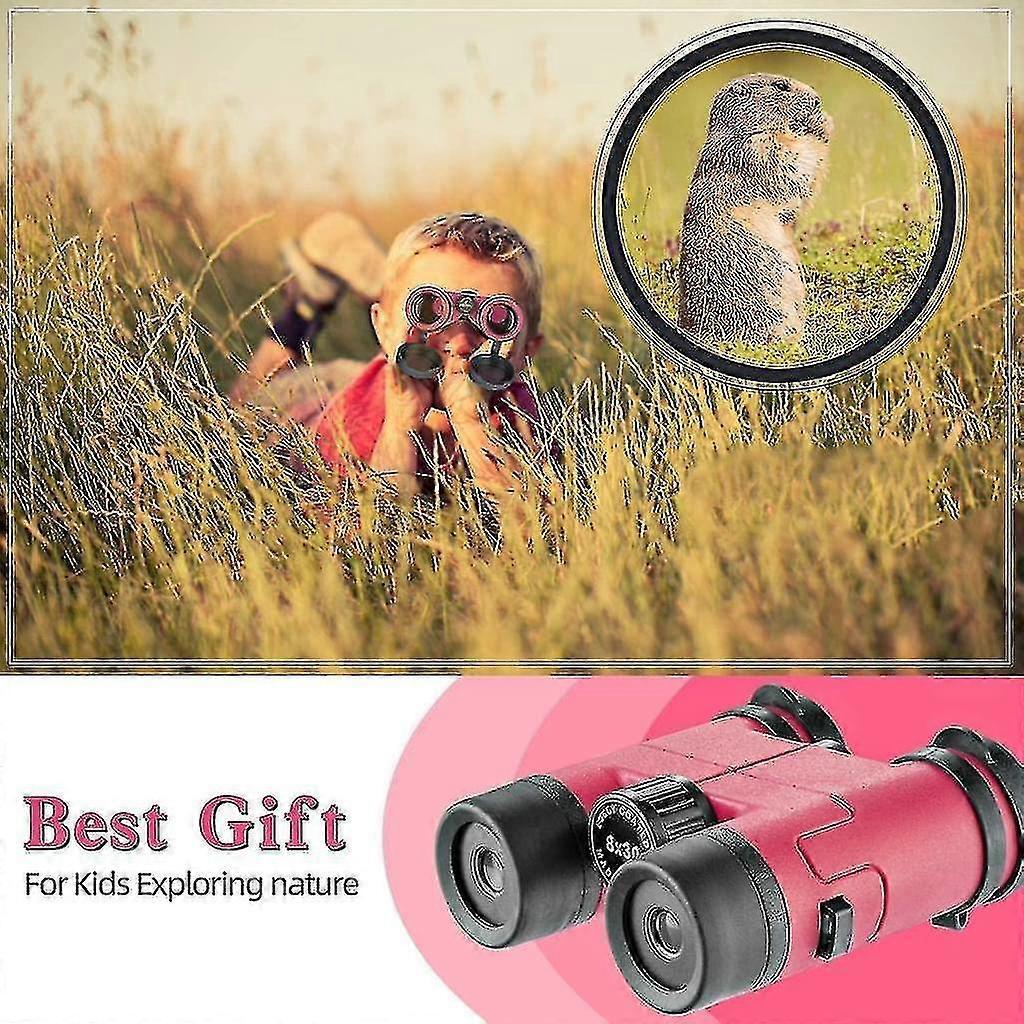 HD Binoculars for Adults Compact High Power Travel Viewing Optics