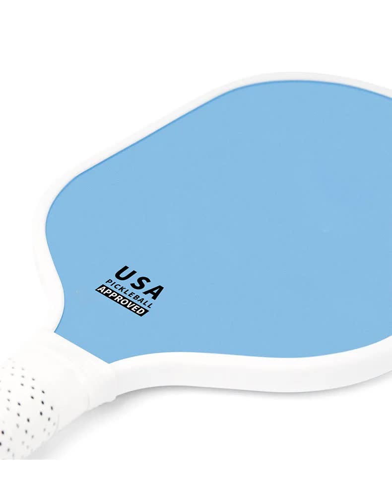 Dark Blue Fiberglass Pickleball Paddle Set - 2 Minimalist Paddles, 4 Balls, and Carry Bag for Outdoor Play