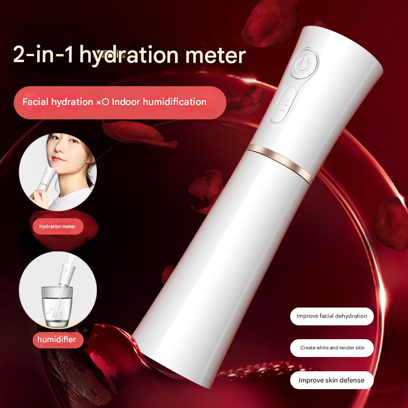 Red 2 in 1 Cool Mist Humidifier and Facial Moisturizer