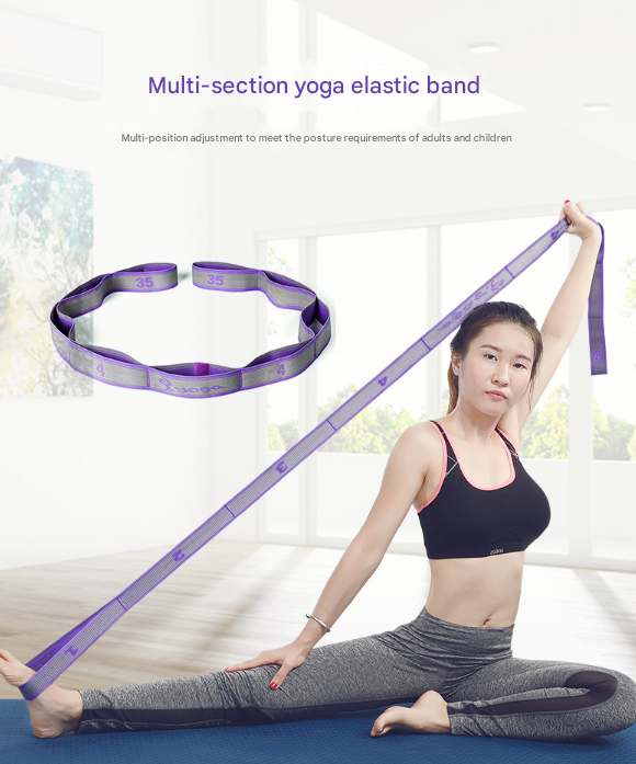 9-Loop Yoga Stretch Strap (Blue and Purple)