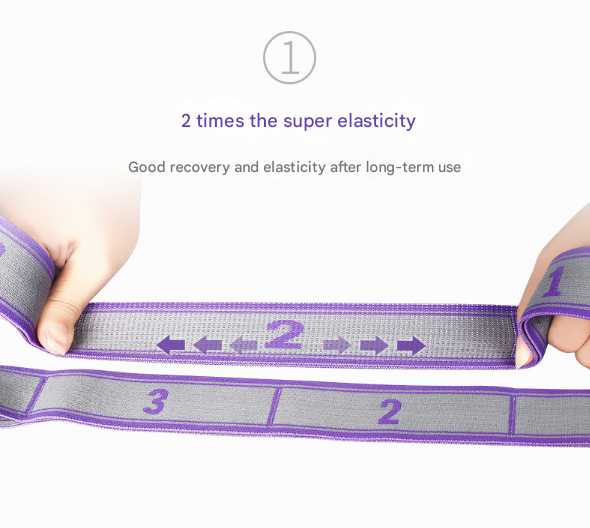 9-Loop Yoga Stretch Strap (Blue and Purple)