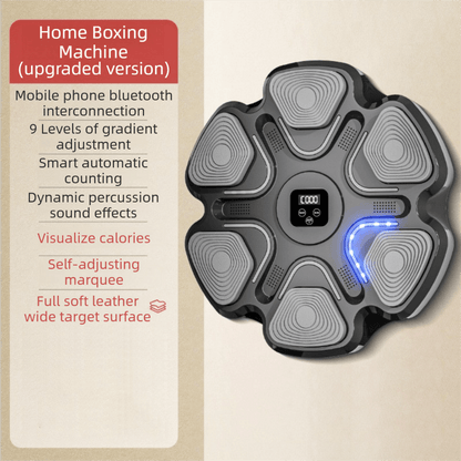 Best Black 6-Target Sensor Smart Bluetooth Music Boxing Training Machine | Buy Online at Furniture Things Australia