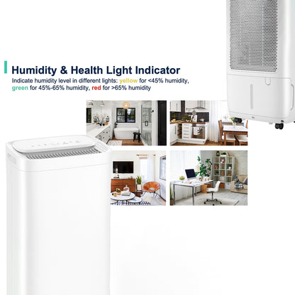 Dehumidifier Air Purifier 12L/Day with HEPA Filter